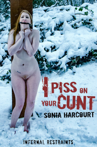 I Piss On Your Cunt cover