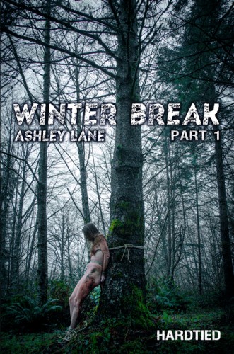 Winter Break Part 1 - Ashley Lane cover