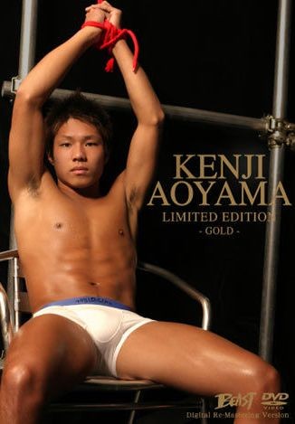 Japanese Stud - Kenji Aoyama - Gold Limited Edition