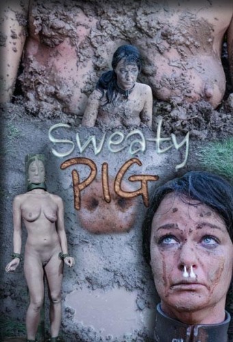 Sweaty Pig Part 2 cover