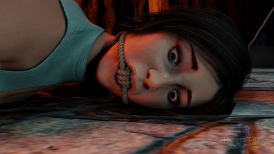 Lara's Capture cover