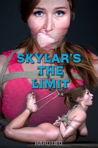 HdT - Skylar Snow - Skylar's The Limit cover