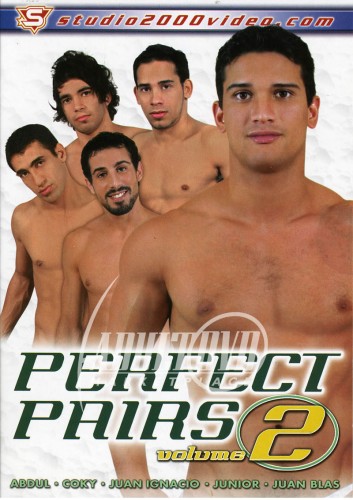 Perfect Pairs 2 cover