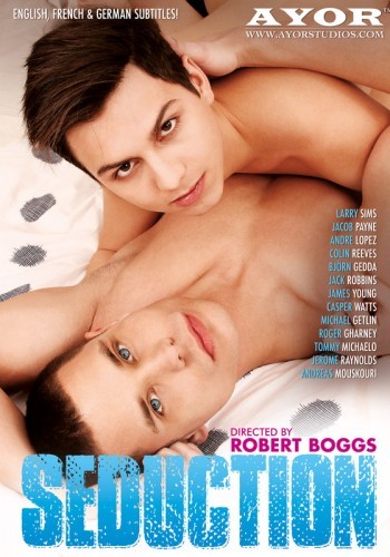 Seduction (2013) cover