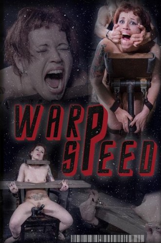 Warp Speed Part 3 cover