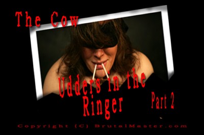 The Cow - udders ringer 2 cover