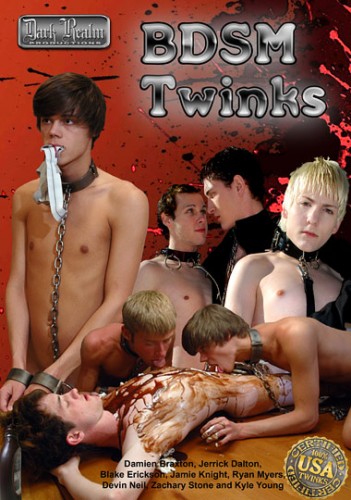 BDSM Twinks cover