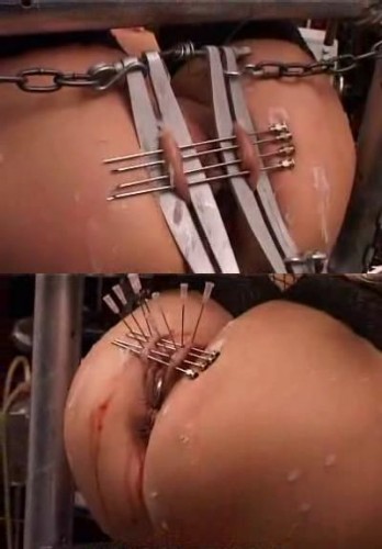 Pussy in hot torture.
