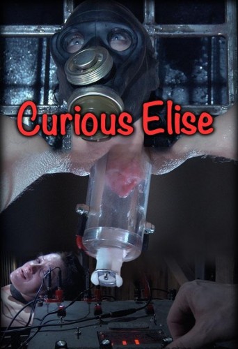 Curious Elise bonus cover