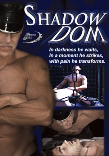 Shadow Dom cover