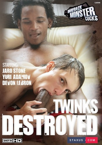 Twinks Destroyed Part 1 (2014) cover