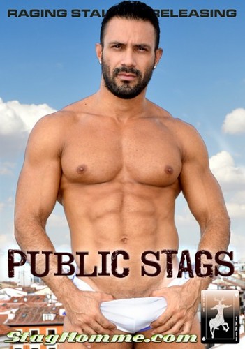 StagHomme Public Stags cover