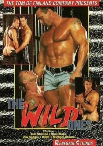 The Wild Ones (1994) cover