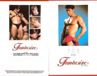 Fantasize (1984) - Brian Hawks, Mark Rebel, Randy Page cover