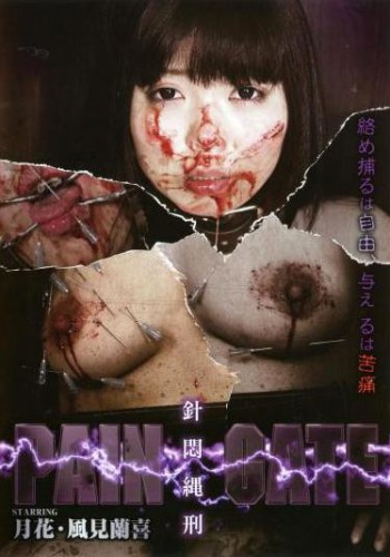 Extreme Asian Torture - DDSC-021 cover