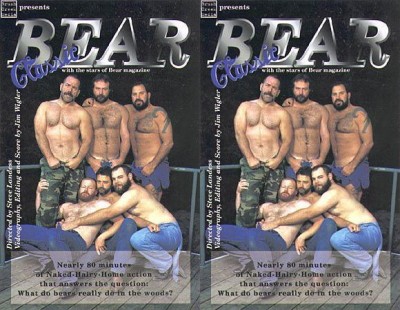 Classic Bear cover