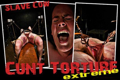 BM - Cow - Cunt Torture Extreme