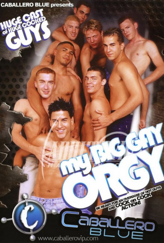 My Big Gay Orgy cover