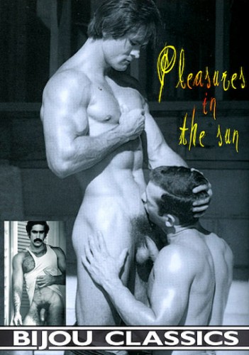 Pleasures In The Sun (1980) cover