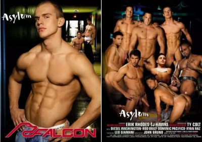 Asylum cover