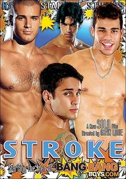 Stroke cover