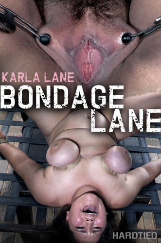 Bondage Lane cover