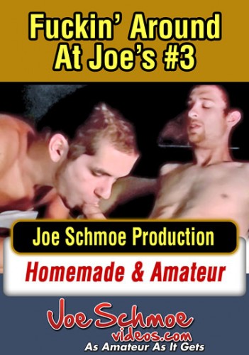 Fuckin Around At Joeands Vol. 3 cover