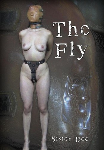 The Fly cover