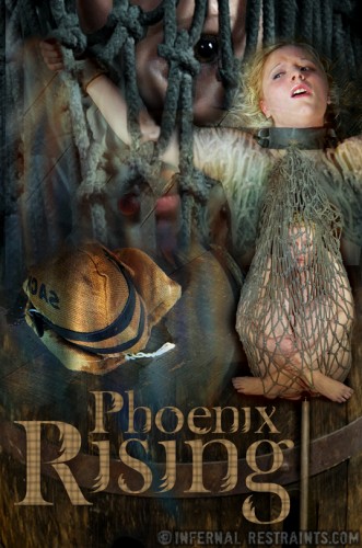 Phoenix Rising cover