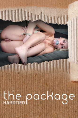 The Package, Kenzie Taylor cover