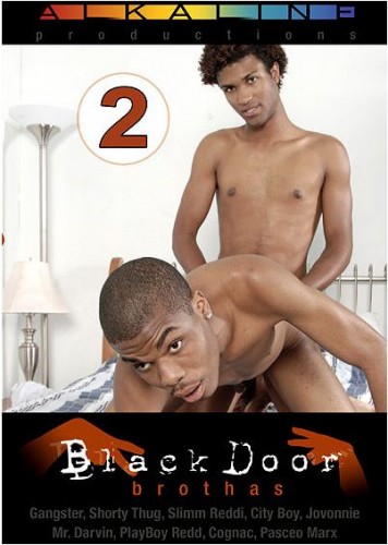 Black Door Brothas 2 cover