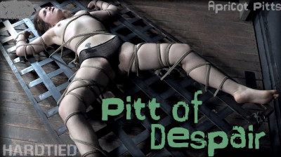 Pitt of Despair cover