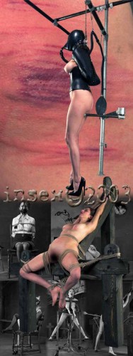 Insex - Flogged (Live Feed from November 9, 2003) (202, 912, 114, 117) cover