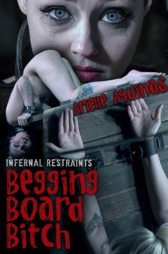 Begging Board Bitch cover