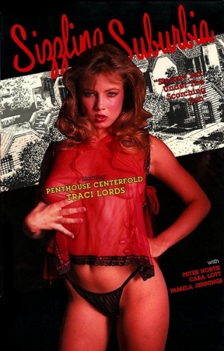 Sizzling Suburbia (1985) cover