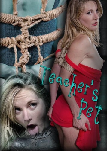 Teacher's Pet- pain and punishment cover