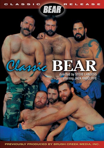Classic Bear cover