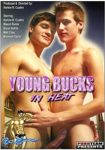Young Bucks In Heat - Harlow R. Cuadra, Mason Banks, Bryan Ashlin cover