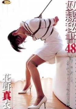 Asia Bdsm (Slave Secretary  48) Cinemagic cover