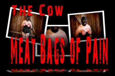 cow meat bags cover