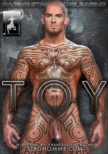Toy cover