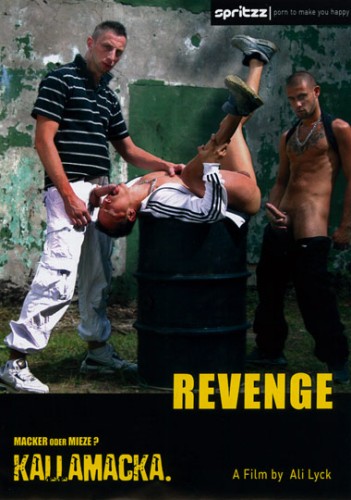 Revenge cover