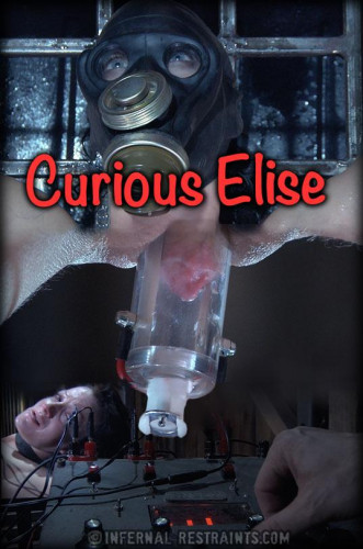 Elise Graves Curious Elise Bonus cover
